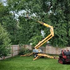 Reliable Weigelstown, PA Tree Removal Solutions